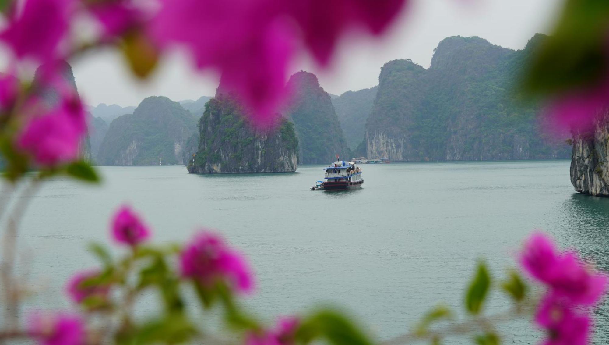 Cat Ba Plaza Hotel Dong Khe Sau Luaran gambar